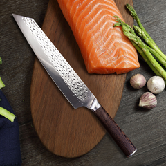 Professional 9-Inch Japanese Kiritsuke and Fishing Chef Knife