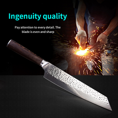 Professional 9-Inch Japanese Kiritsuke and Fishing Chef Knife