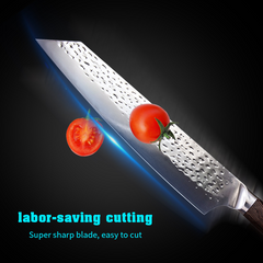 Professional 9-Inch Japanese Kiritsuke and Fishing Chef Knife